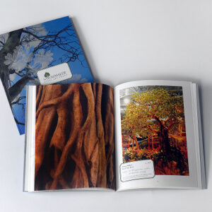 NatureMaker brochure set featuring an open book and a closed cover. The open pages showcase a full-page image of textured, sculpted tree bark on the left and a detailed photo of an artificial tree installation with twisting roots and foliage on the right. The closed brochure features a stylized tree branch with white blossoms against a blue sky, along with the NatureMaker logo.